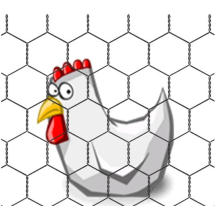 Grillage hexagonal de poulailler, clôture de piscine en filet de poulet
